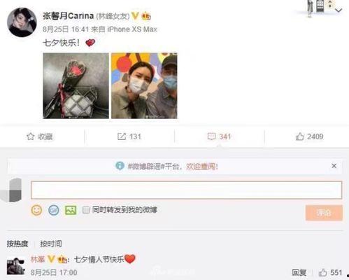 娱乐大爆料林峯视频播放,娱乐大爆料引网友热议